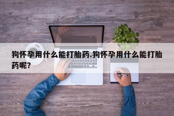 打胎药哪里能买到意外怀孕咨询狗怀孕用什么能打胎药.狗怀孕用什么能打胎药呢？