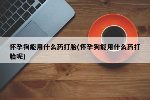 打胎药哪里能买到意外怀孕咨询怀孕狗能用什么药打胎(怀孕狗能用什么药打胎呢)